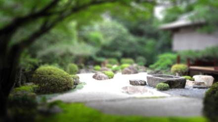 Garden japanese tilt-shift wallpaper