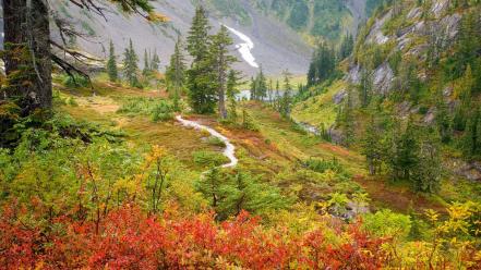Autumn (season) meadows baker washington mount heather wallpaper