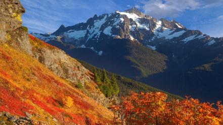 Autumn (season) yellow baker washington mount wallpaper