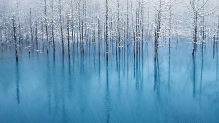 Blue apple inc. ponds macintosh mountain lion wallpaper