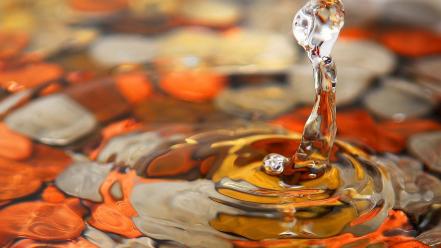 Water landscapes nature drops wallpaper