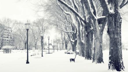 Nature parks snow white winter wallpaper