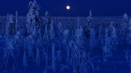 Finland full moon blue dark forests wallpaper