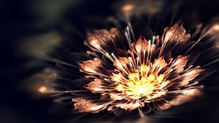 Digital art flowers fractals wallpaper