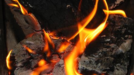 Coal fire macro wood wallpaper