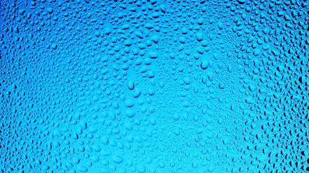 Condensation water wallpaper