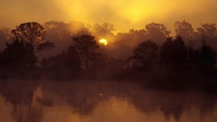 South carolina jungle landscapes rivers sunrise wallpaper