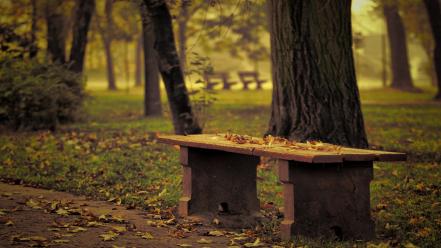 Bench garden landscapes nature parks wallpaper