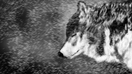 Drawings snow wolves wallpaper