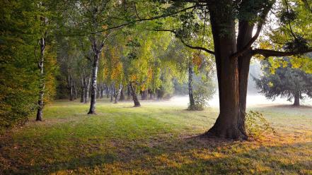Hdr photography forests landscapes nature parks wallpaper