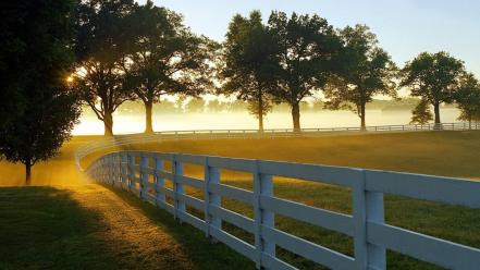 Farm sunrise wallpaper