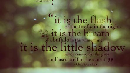 Philosophy poetry quotes text typography wallpaper