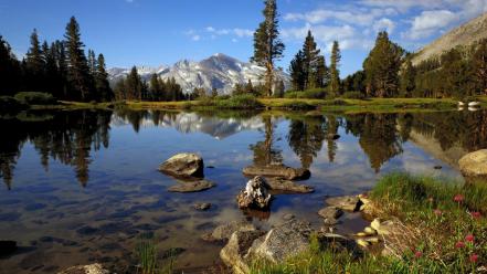 Landscapes country california yosemite national park wallpaper