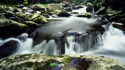 Tennessee national park great smoky mountains scene wallpaper