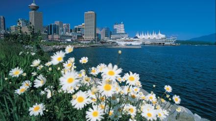 Water flowers city skyline cities white wallpaper