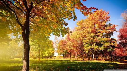 Autumn beginning nature seasons wallpaper
