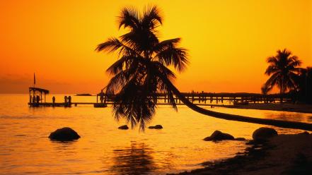 Florida keys nature silhouettes sunset wallpaper