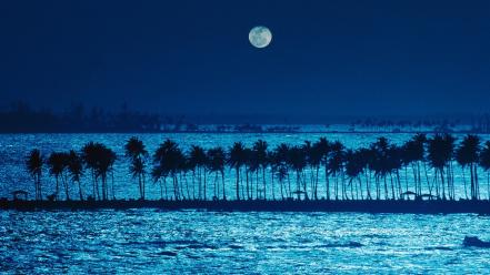 Puerto rico landscapes moonlight nature palm trees wallpaper
