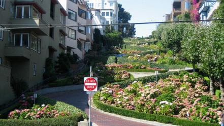 San francisco cityscapes flowers streets wallpaper