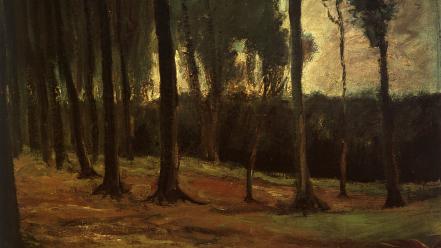 Vincent van gogh artwork forests paintings wallpaper