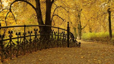 Autumn nature parks trees wallpaper