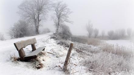 Bench snow wallpaper
