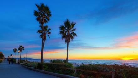 California beaches palm trees wallpaper