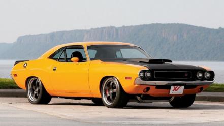 Cars muscle vehicles yellow wallpaper