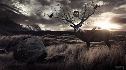 Desktopography animals landscapes wallpaper