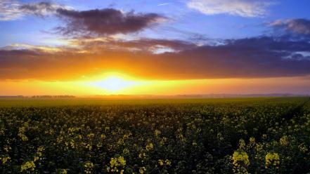 Heaven sun blue skies clouds nature wallpaper