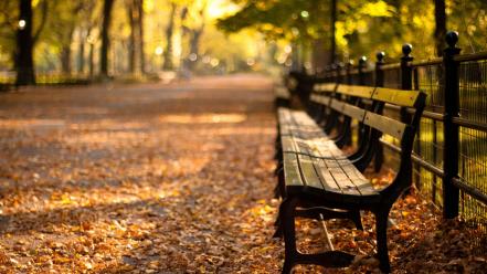 Autumn bench parks trees wallpaper
