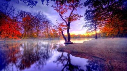 Autumn lakes nature trees wallpaper