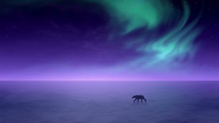 Arctic aura polar bears wallpaper
