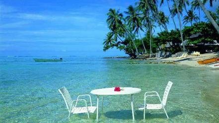 Florida beaches chairs ocean palm trees wallpaper