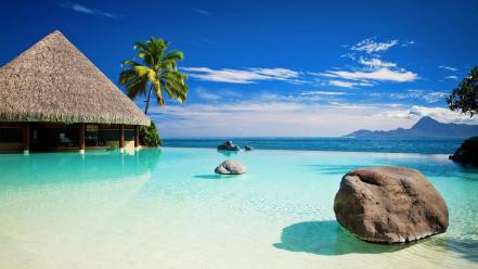 Palm trees tropical wallpaper