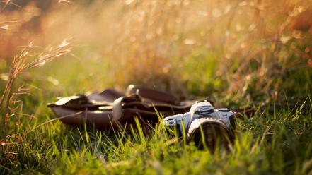 Cameras grass objects wallpaper
