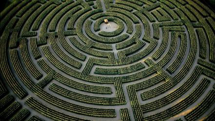 France mazes hedges labrinth wallpaper