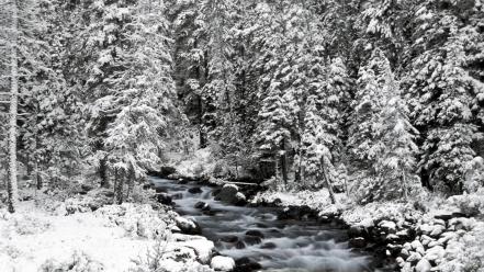 Landscapes nature winter canada alberta banff national park wallpaper