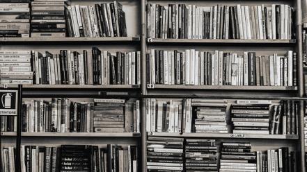 Library books interior shelf wallpaper