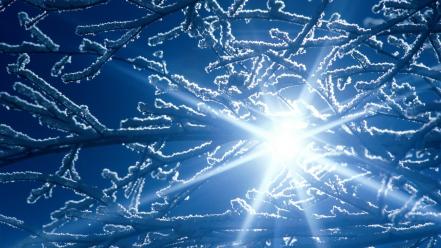 Nature winter spring (season) wallpaper