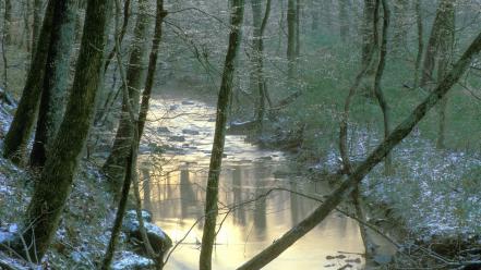 Nature winter tennessee creek wallpaper