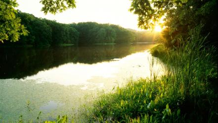 Sunset forest lakes wallpaper