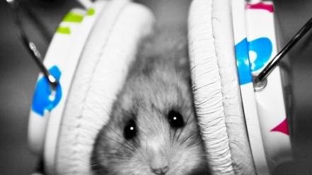 Headphones white hamsters mice wallpaper