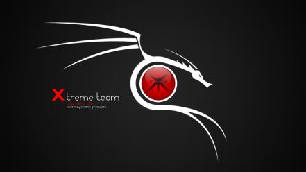 Game xtreme team urban terror wallpaper