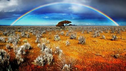 Nature desert australia australian travel wallpaper
