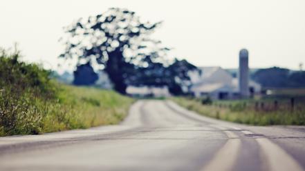 Nature trees bokeh roads depth of field wallpaper