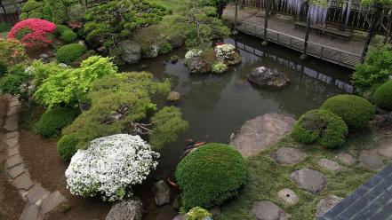 Blossoms flowers spring (season) ponds japanese gardens wallpaper