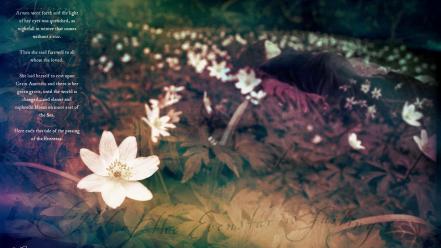 Elves artwork poetry arwen undomiel white flowers wallpaper