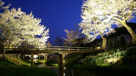 Flowers bridges spring (season) streams flowered trees wallpaper