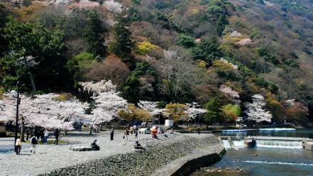 Flowers spring (season) boats lakes flowered trees wallpaper